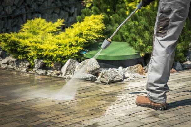 Best Animal Enclosure Cleaning  in Rainbow Lakes Estates, FL
